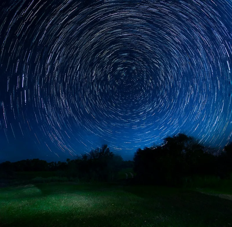 Migratory Birds Navigate Using Earth’s Magnetic Field and Stars