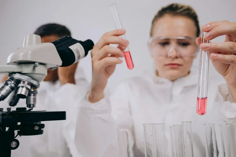 Neuroplasticity Research Challenges Memory Understanding